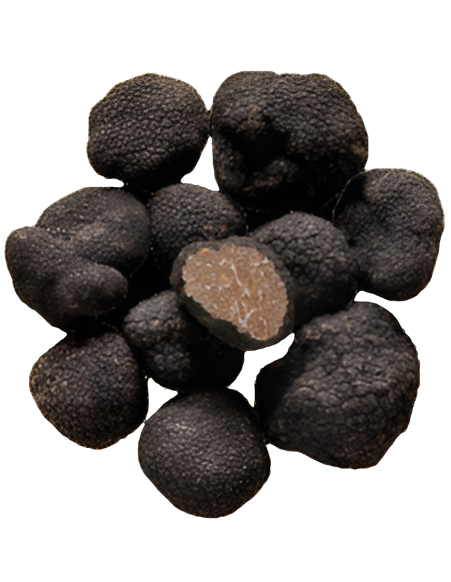 Maison Dessis-Tuber Uncinatum – Truffe d'automne