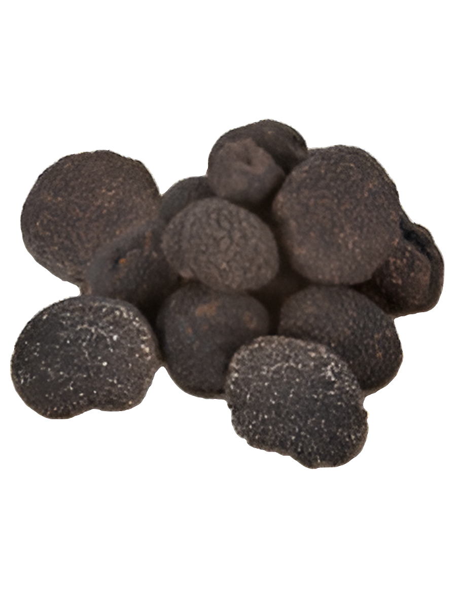 Maison Dessis- Tuber Melanosporum – Truffe noire d’hiver