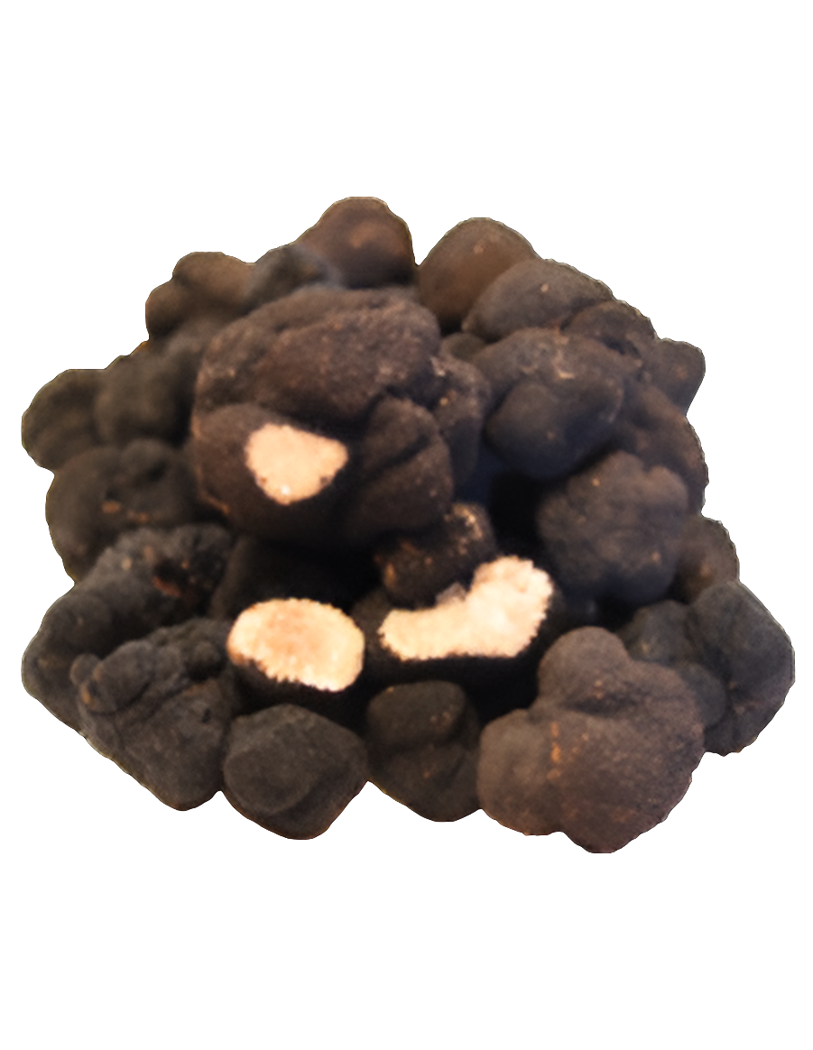Maison Dessis- Tuber Aestivum – Truffe blanche d’été