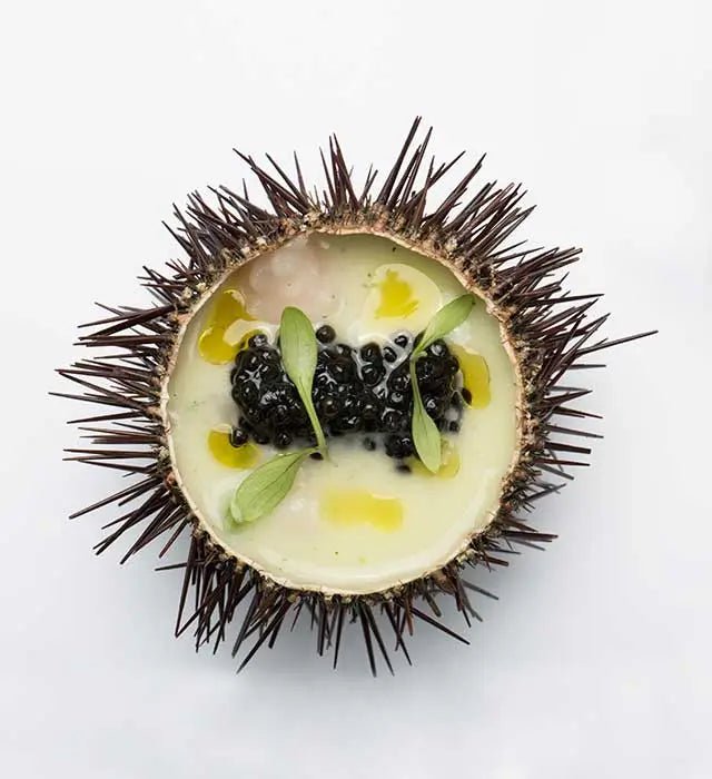 DaVinci (Adriatic Sturgeon) Caviar - Château Vert l'art du terroir