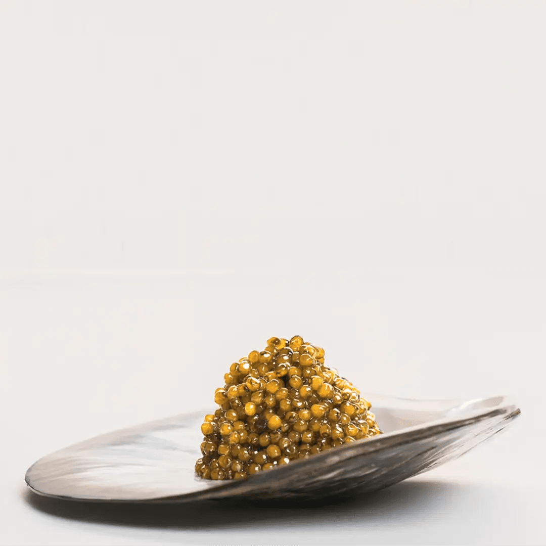 Kaluga Caviar - Château Vert l'art du terroir