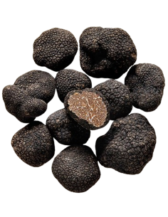 Maison Dessis-Tuber Uncinatum – Truffe d'automne