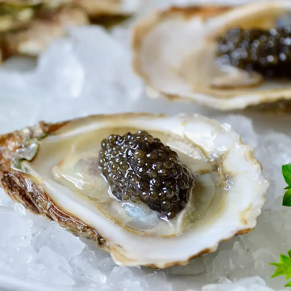 Caviar de Sevruga