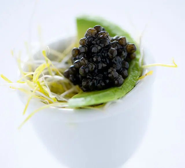 Siberian (Baerii) Caviar - Château Vert l'art du terroir