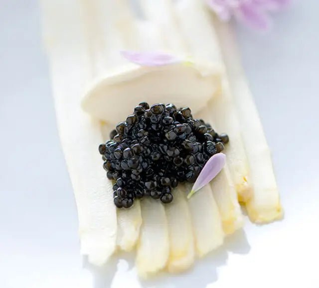 White Sturgeon Caviar - Château Vert l'art du terroir